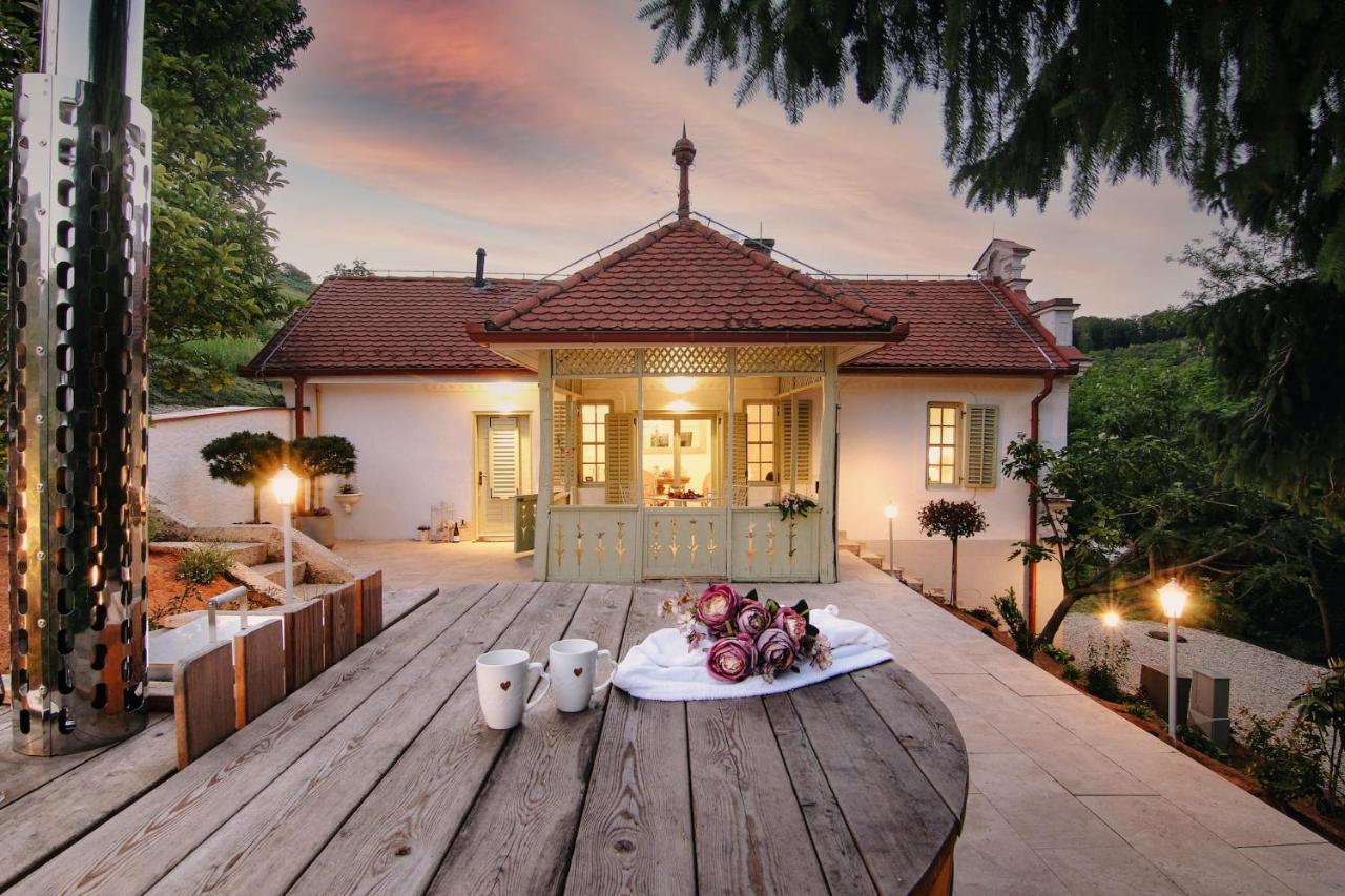 Vila Vilma Vineyard Cottage Lendava Exterior photo