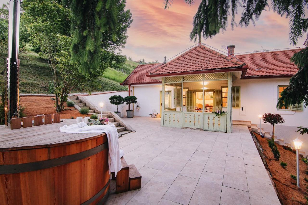 Vila Vilma Vineyard Cottage Lendava Exterior photo